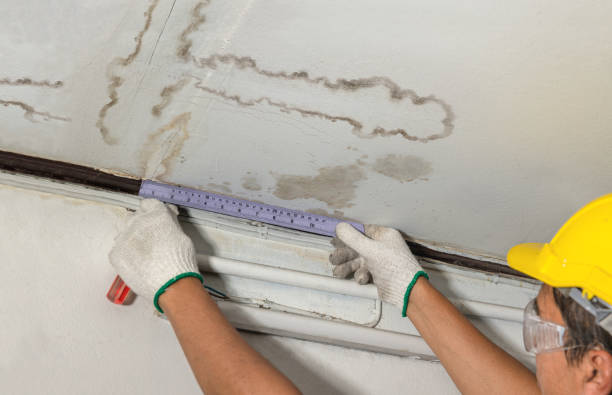 Reliable Water Damage contractor in Jersey, GA by Water Damage Irwin